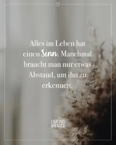 Alles im leben hat einen sinn